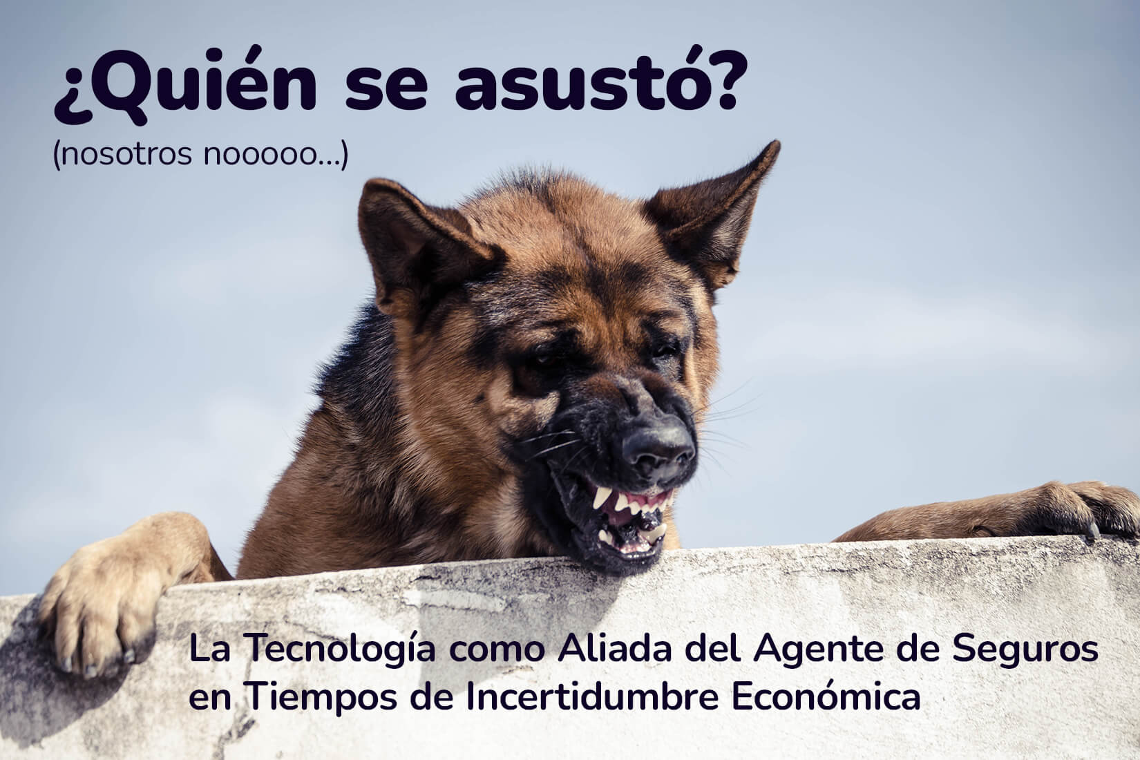 Agente aguerrido en tiempos de incertidumbre con Ukuvi